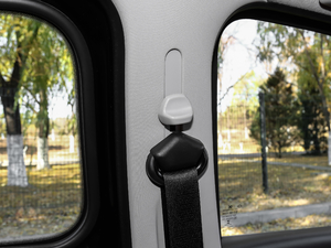 2017BRABUS Xclusive g