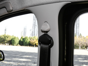 2017BRABUS Xclusive g