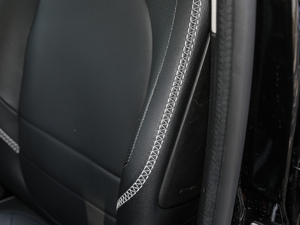 2017BRABUS Xclusive g