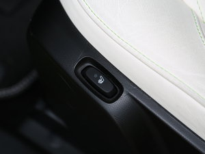 20170.9T BRABUS tailor madeٶӲ픰 g