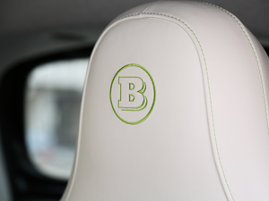 20170.9T BRABUS tailor madeٶӲ픰 g