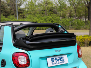 20170.9T BRABUS tailor madeٶƳ g