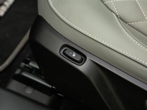 20170.9T BRABUS tailor madeٶƳ g