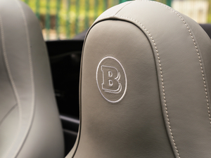 20170.9T BRABUS tailor madeٶƳ g