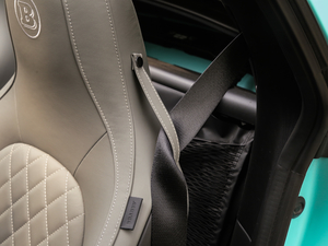 20170.9T BRABUS tailor madeٶƳ g