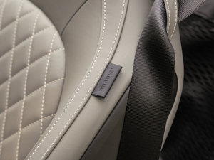 20170.9T BRABUS tailor madeٶƳ g