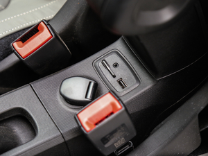 20170.9T BRABUS tailor madeٶƳ g