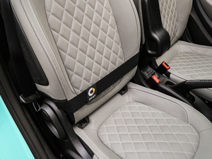 20170.9T BRABUS tailor madeٶƳ g