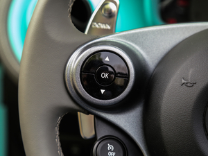 20170.9T BRABUS tailor madeٶƳ п؅^