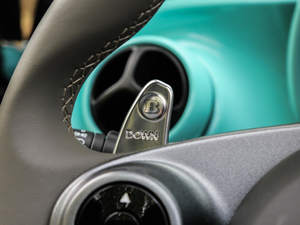 20170.9T BRABUS tailor madeٶƳ п؅^