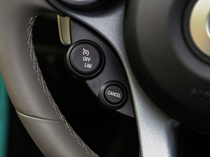 20170.9T BRABUS tailor madeٶƳ п؅^