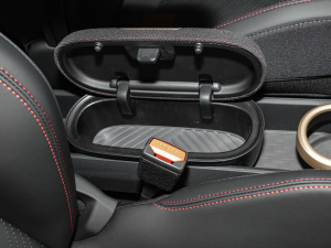 2025JOHN COOPER WORKS g