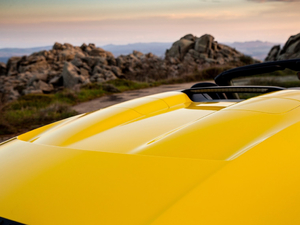 2019款Speedster 细节外观