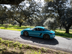 2019Cayman T w^