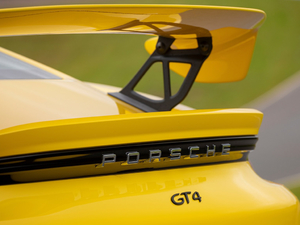 2019Cayman GT4 (x)(ji)^