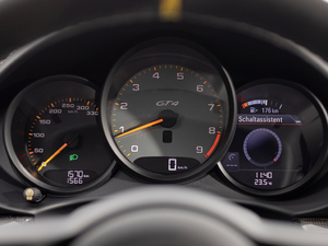 2019Cayman GT4 п؅^