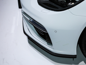 2019Turbo S E-Hybrid (ji)^