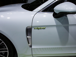 2019Turbo S E-Hybrid (ji)^