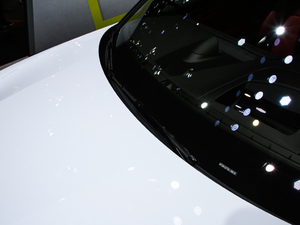 2019Turbo S E-Hybrid (ji)^