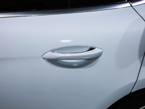 2019Turbo S E-Hybrid (ji)^