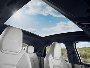 2020Cayenne Turbo Coup 4.0T g