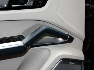 2020Cayenne Turbo Coup 4.0T g