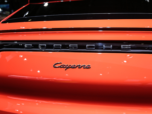 2020Cayenne Coup 3.0T (x)(ji)^
