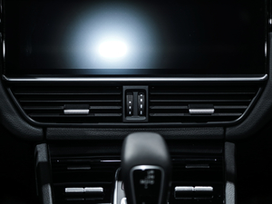 2020Cayenne Coup 3.0T {(dio)L(fng)