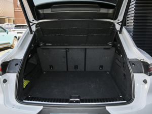 2020Cayenne Coup 3.0T g