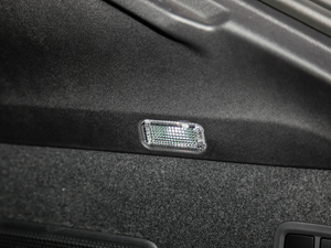 2020Cayenne Coup 3.0T g