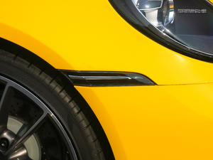 2020Carrera 3.0T (x)(ji)^