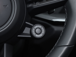 2020Carrera Cabriolet 3.0T п؅^(q)