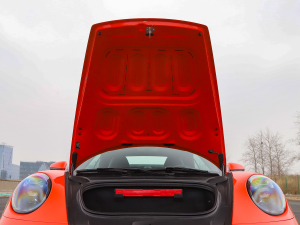 2020Carrera Cabriolet 3.0T 