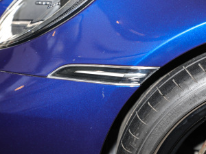 2020Carrera 3.0T (ji)^