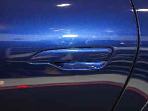 2020Carrera 3.0T (x)(ji)^