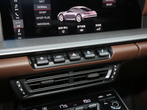 2020Carrera 3.0T п؅^(q)