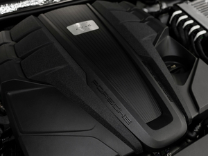 2020款GTS 2.9T 其它