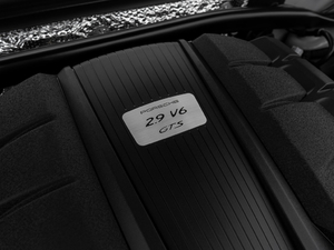 2020款GTS 2.9T 其它