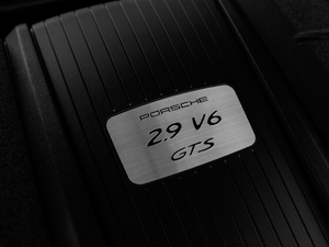 2020款GTS 2.9T 其它
