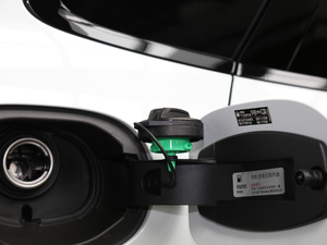 2020 Turbo 2.9T (x)(ji)^