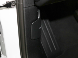 2020 Turbo 2.9T п؅^