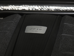 2020款 Turbo 2.9T 其它
