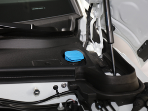 2020款 Turbo 2.9T 其它