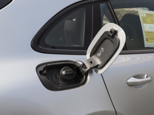 20214 Sport Turismo w