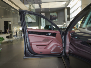 2021款4 E-Hybrid 驾驶位车门