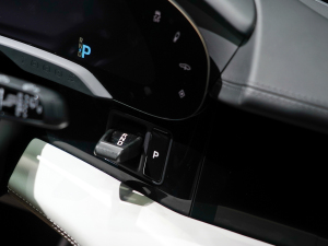 2022Taycan 4S Cross Turismo п؅^