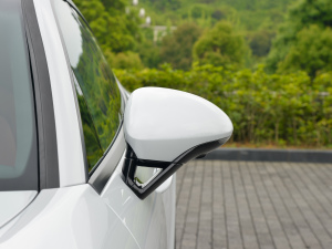 2022Panamera 4 E-Hybrid 2.9T ^