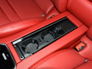 2022Panamera 4 E-Hybrid 2.9T g