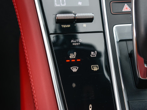 2022Panamera 4 E-Hybrid 2.9T g