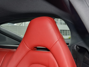 2022Panamera 4 E-Hybrid 2.9T g